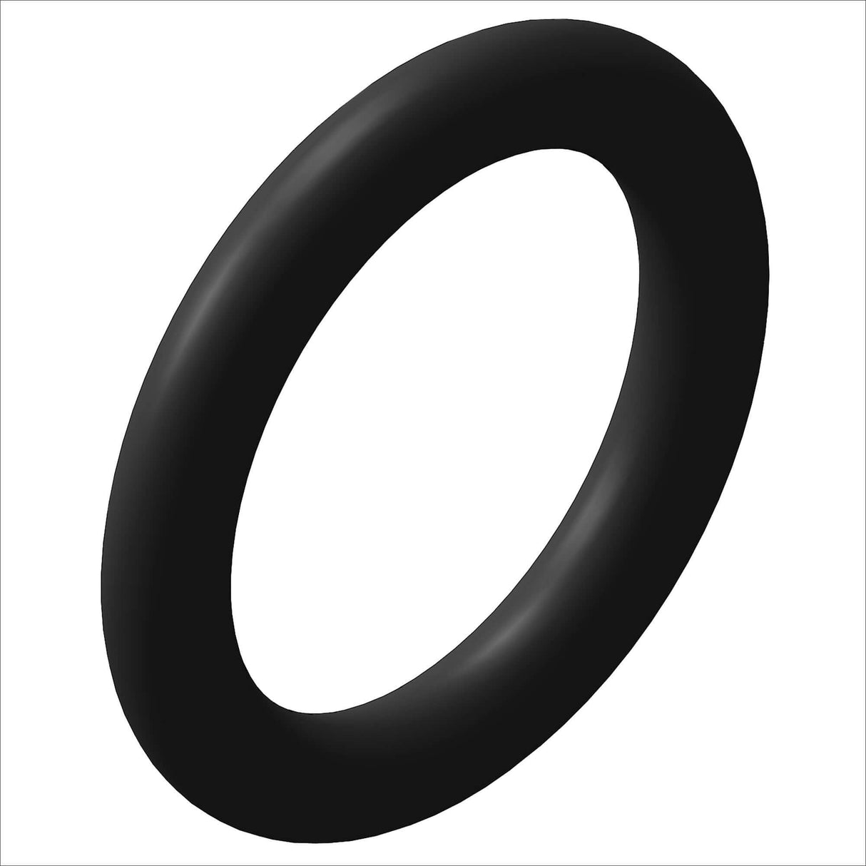 PN 3001/100 - O-RING, #318, 1.0" ID